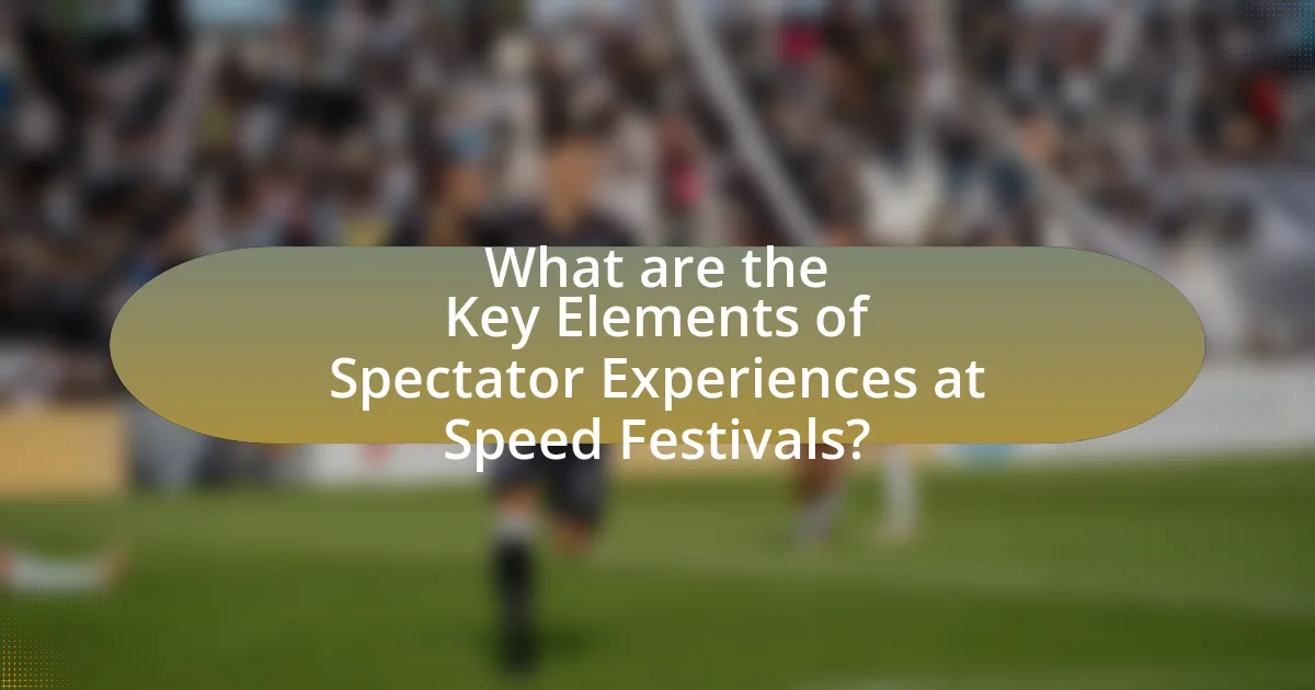 What are the Key Elements of Spectator Experiences at Speed Festivals?